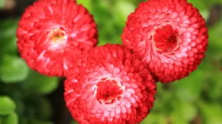 GPT技術が一夜にして禁止される可能性？‐訴訟対策で気を付けるポイントとは